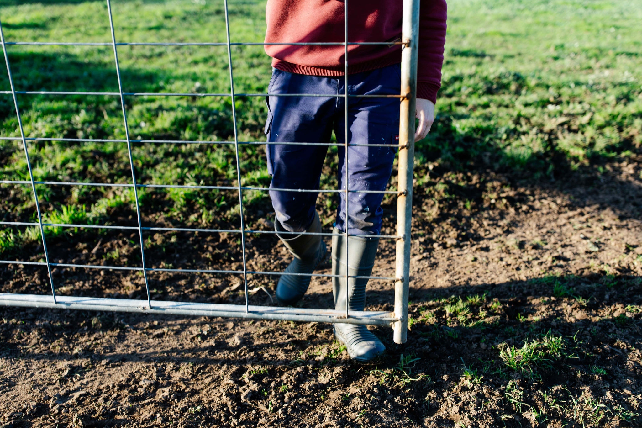 Close up of person in gum boots closing gate on a farm